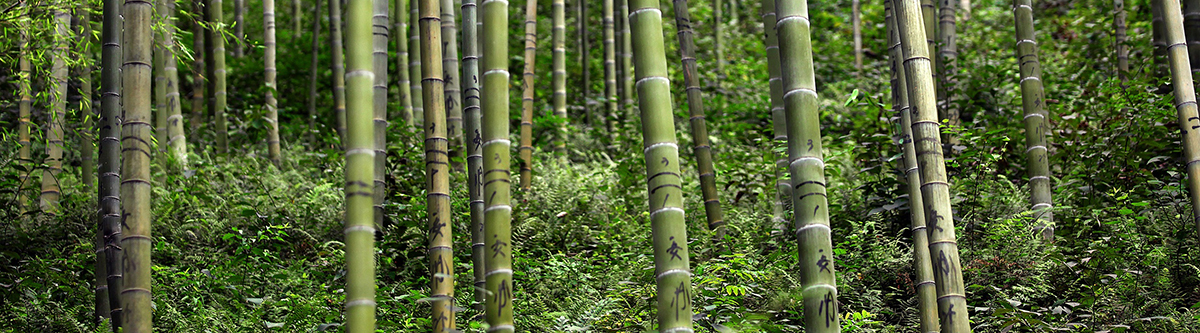 Gesundheitszentrum-Kerzers